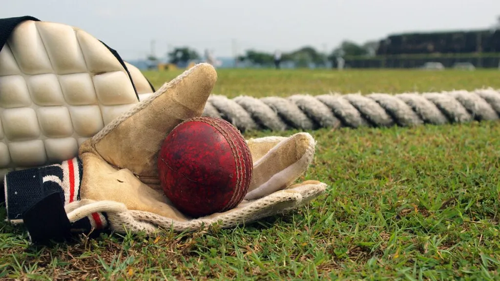 정보의 힘, 압도적 인기의 ‘축구’와 다양한 옵션의 ‘크리켓’