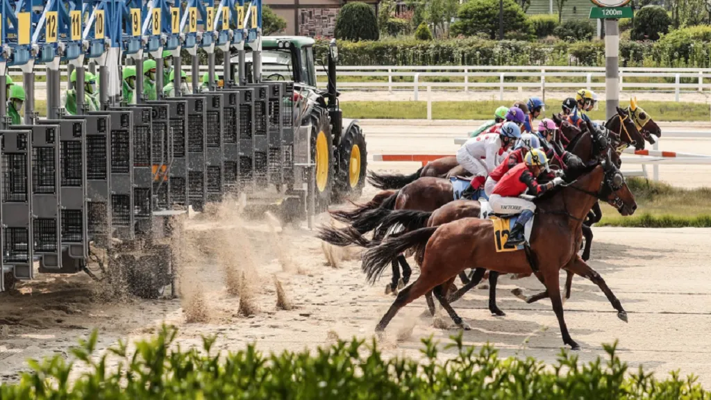 배당률의 허점을 노려라, 가치 투자의 정석 ‘경마’