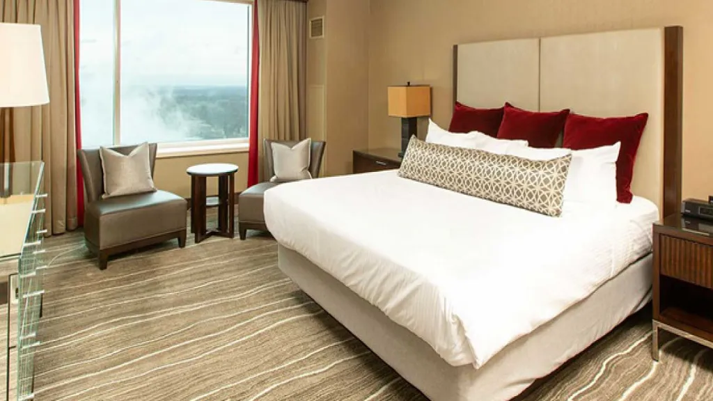 미식과 힐링, 엔터테인먼트의 완벽한 조화