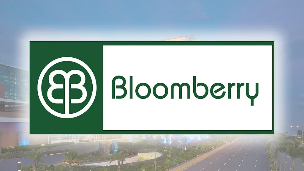 4분기 실적 분석, Mass 시장의 약진과 VIP의 후퇴